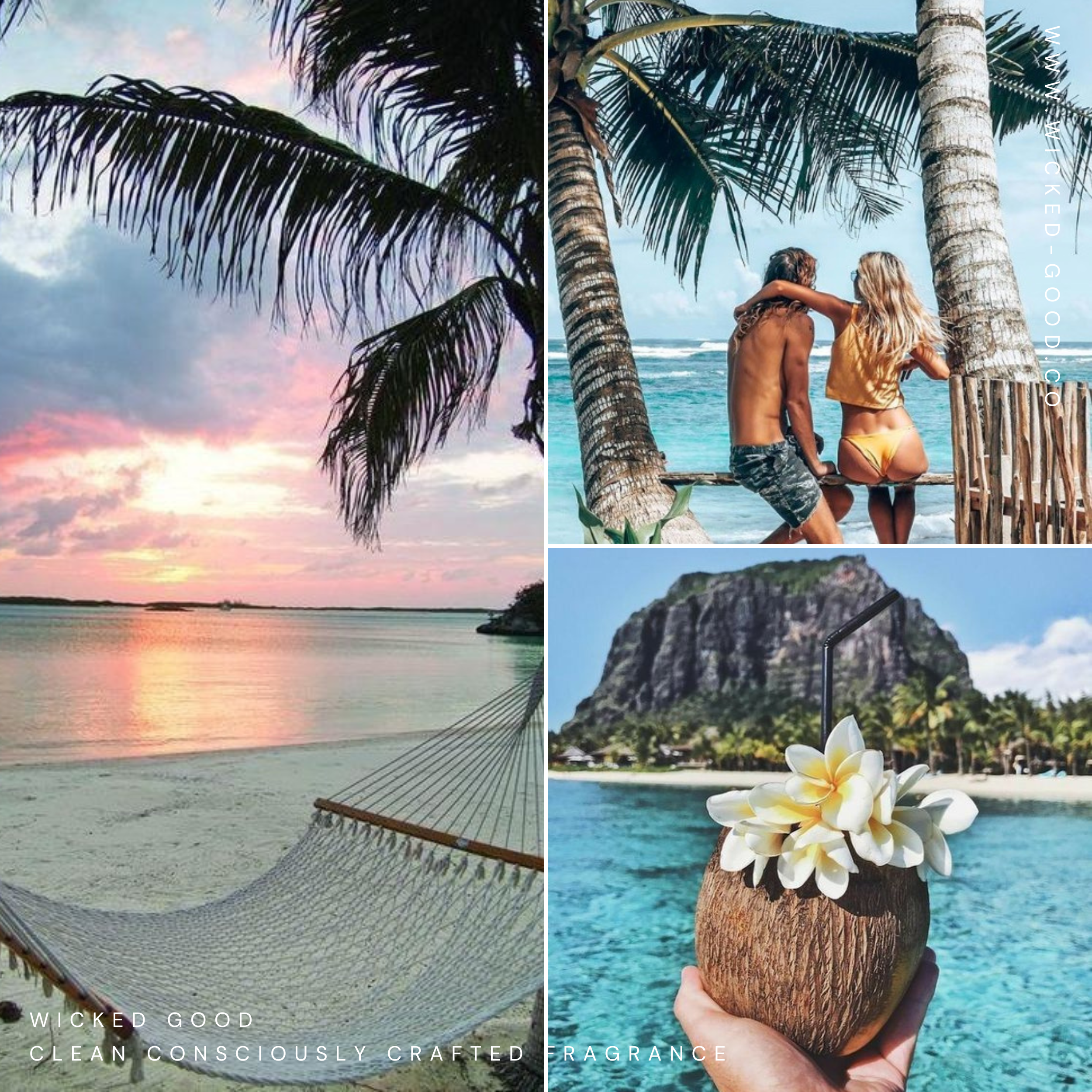 Coco Beach Best Perfume Box 2023 | Wicked Good