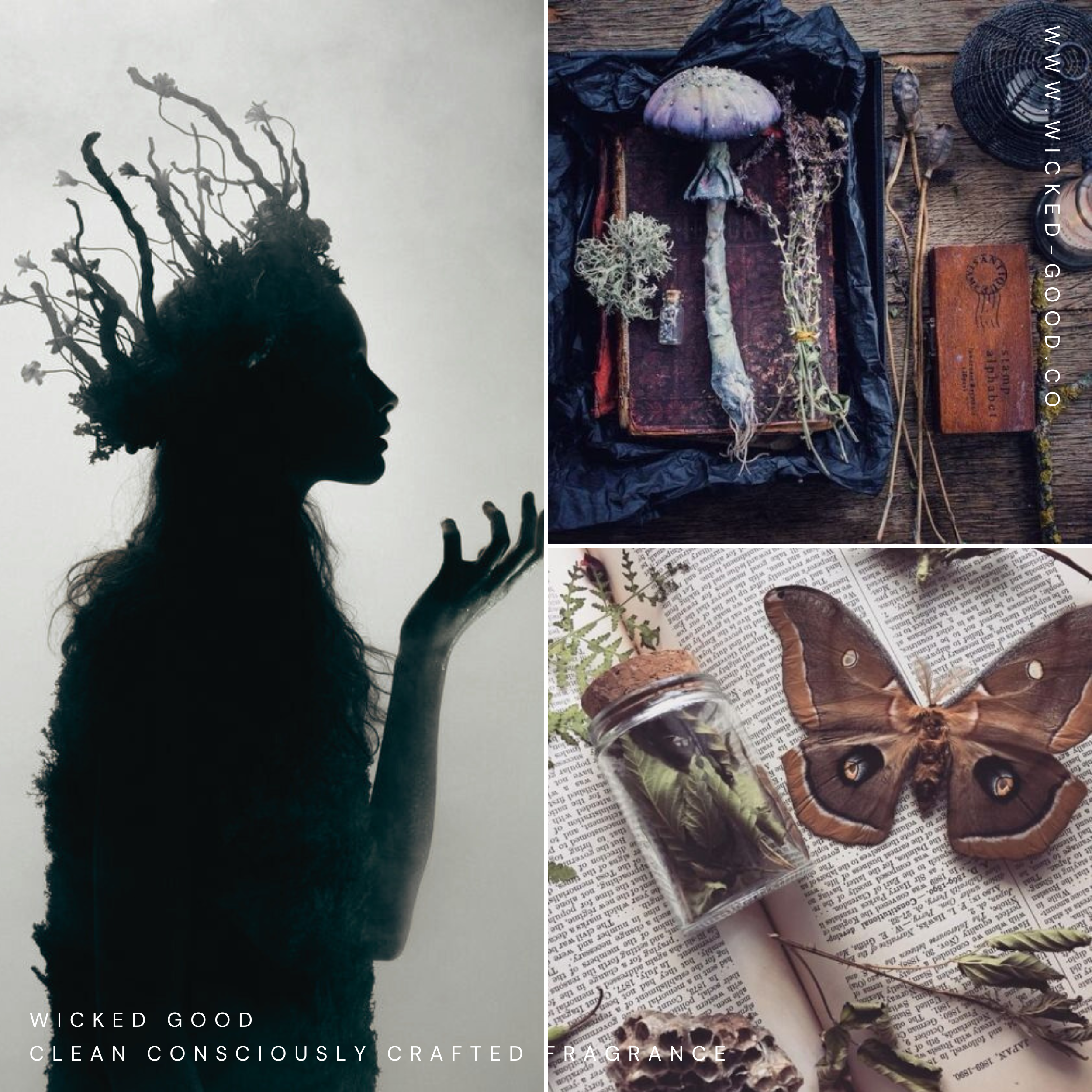 Witches' Cauldron - October 2020 | Wicked Good Scent Club