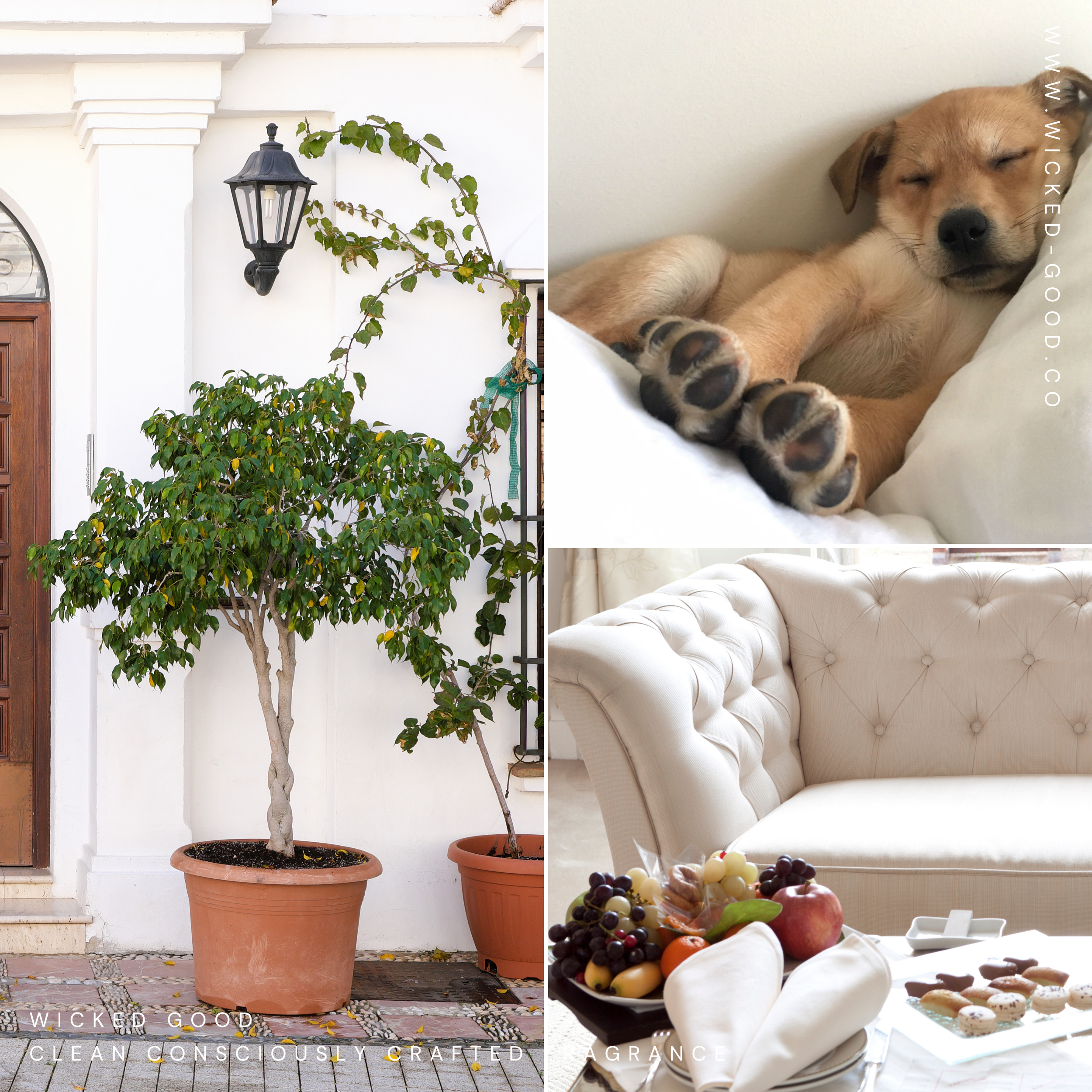 STAYCATION RETREAT | Scent Club Wicked Good September 2023