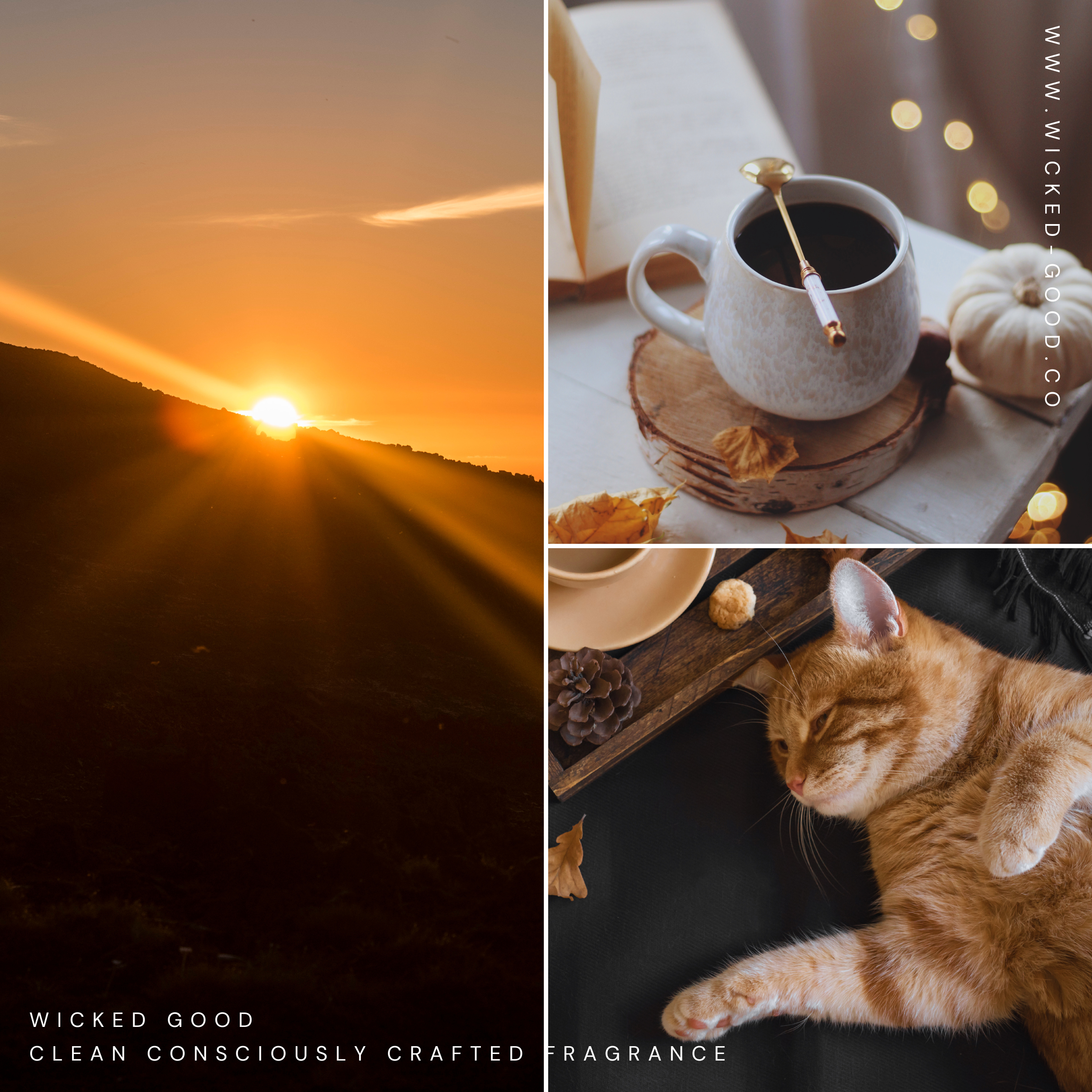 Sucrefluff Scent Club Box | January 2025 | Wicked Good