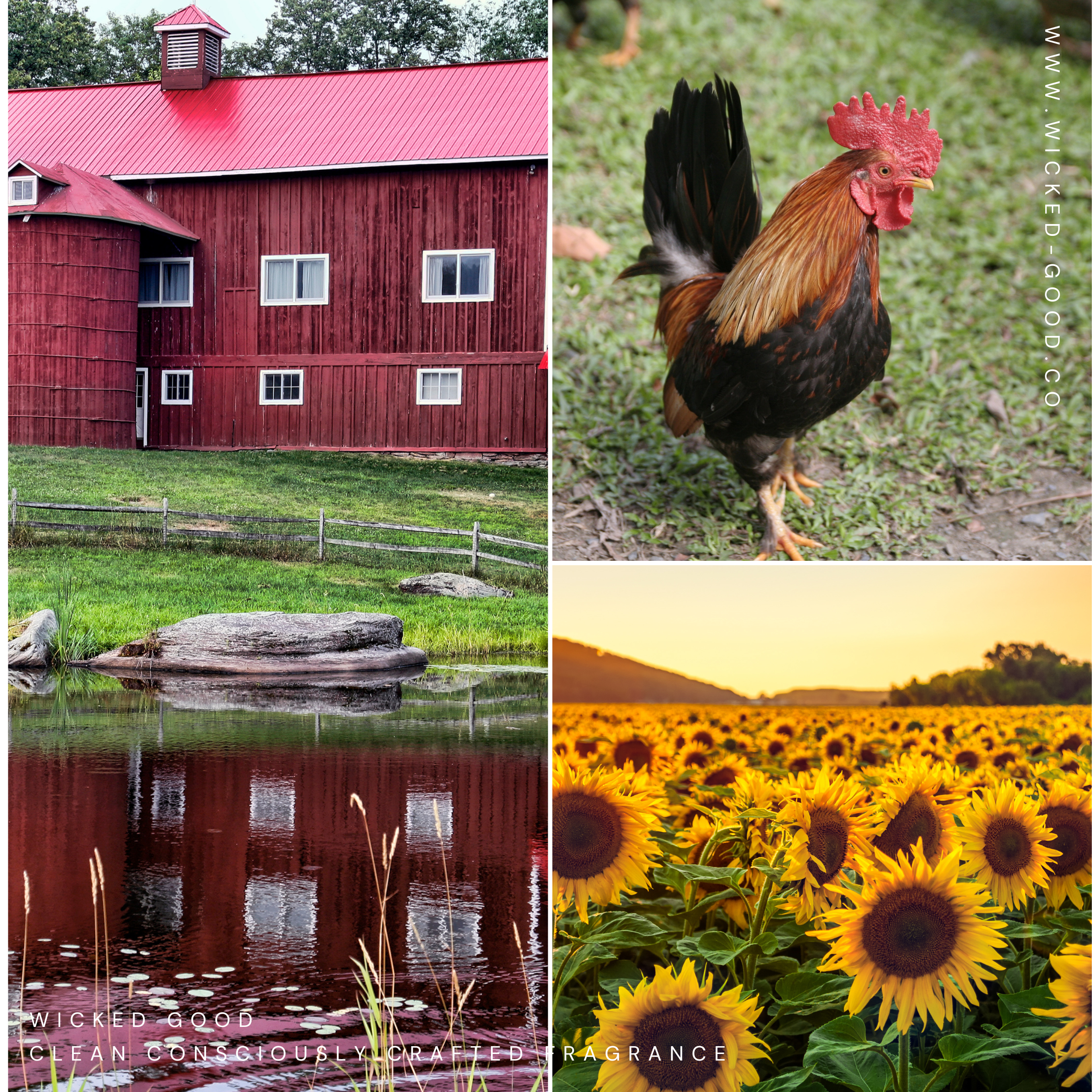 Farmhouse Fresh Fragrances - Fragrance Lovers Subscription Box | May 2022 by Wicked Good