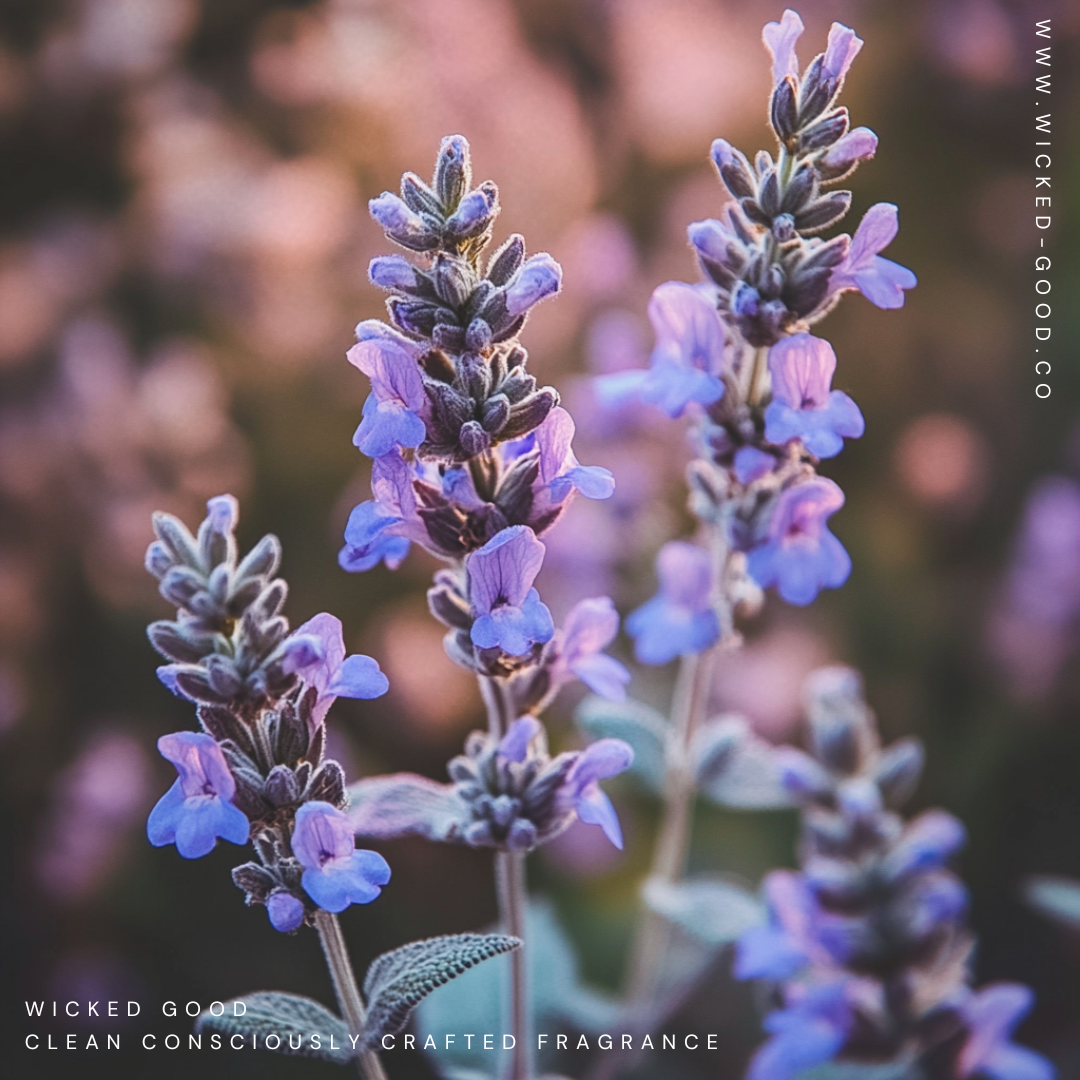 Blue Sage: A Grounding, Refreshing Escape | Wicked Good Perfumes