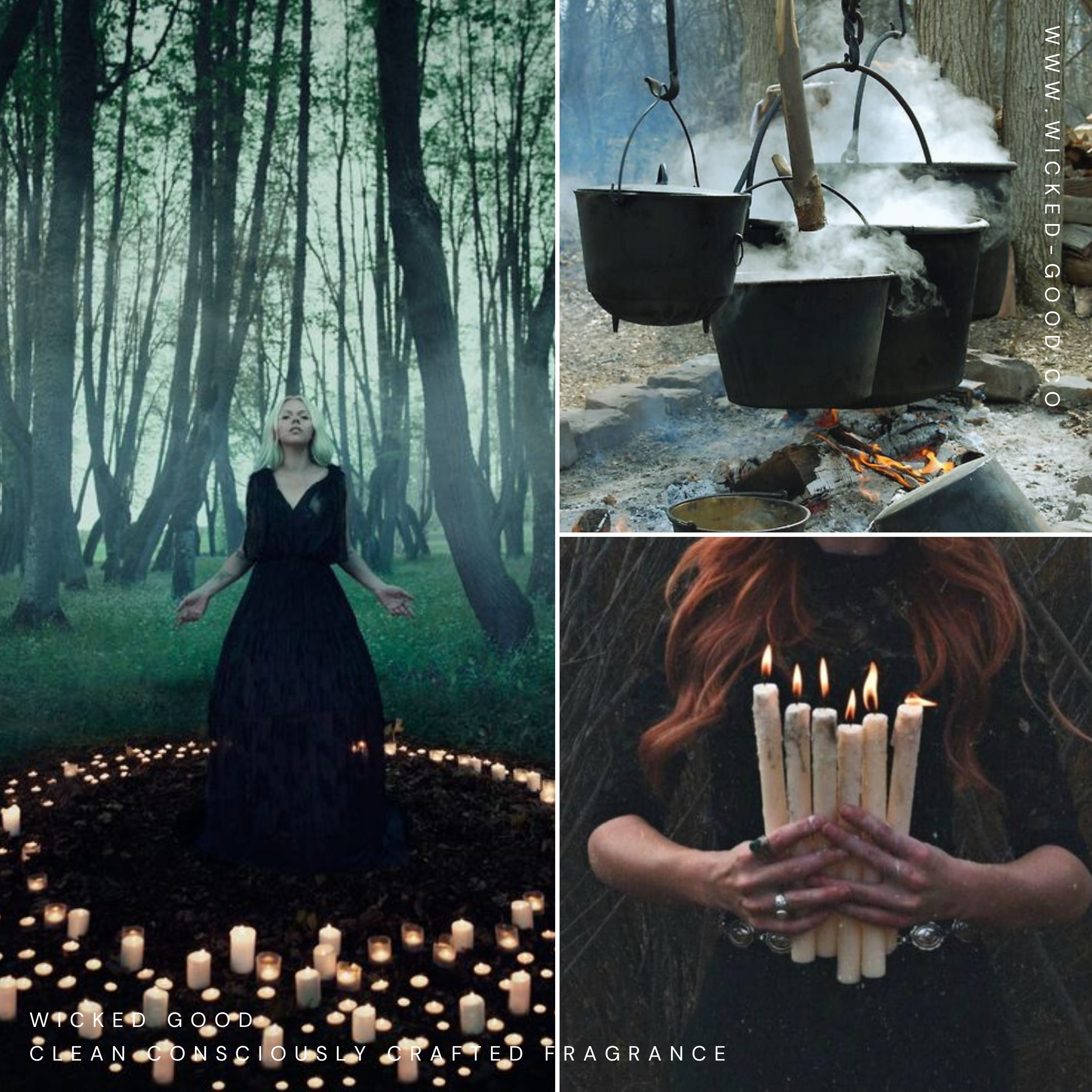 Witches Brew Collection from Wicked Good| October 2019