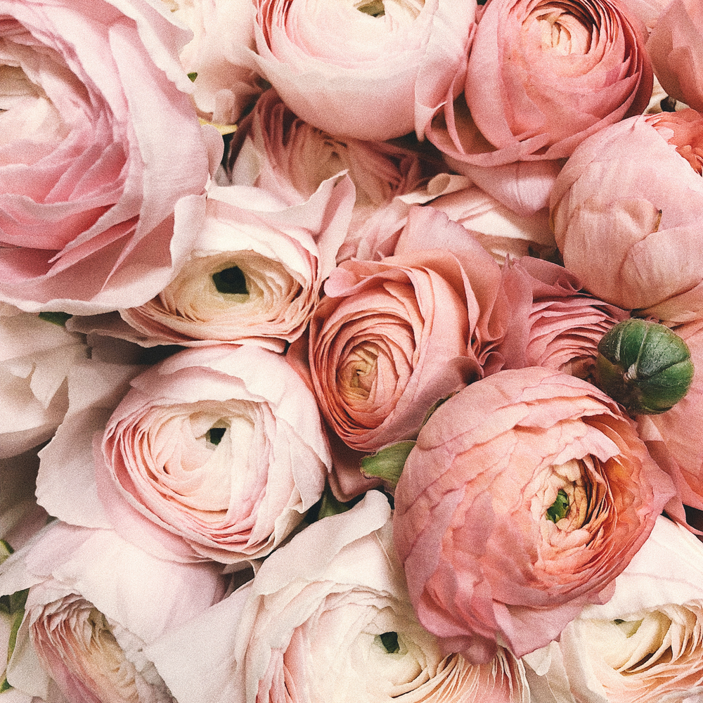 Delina La Rosée Parfums de Marly | Get A Sample #SmellWickedGood