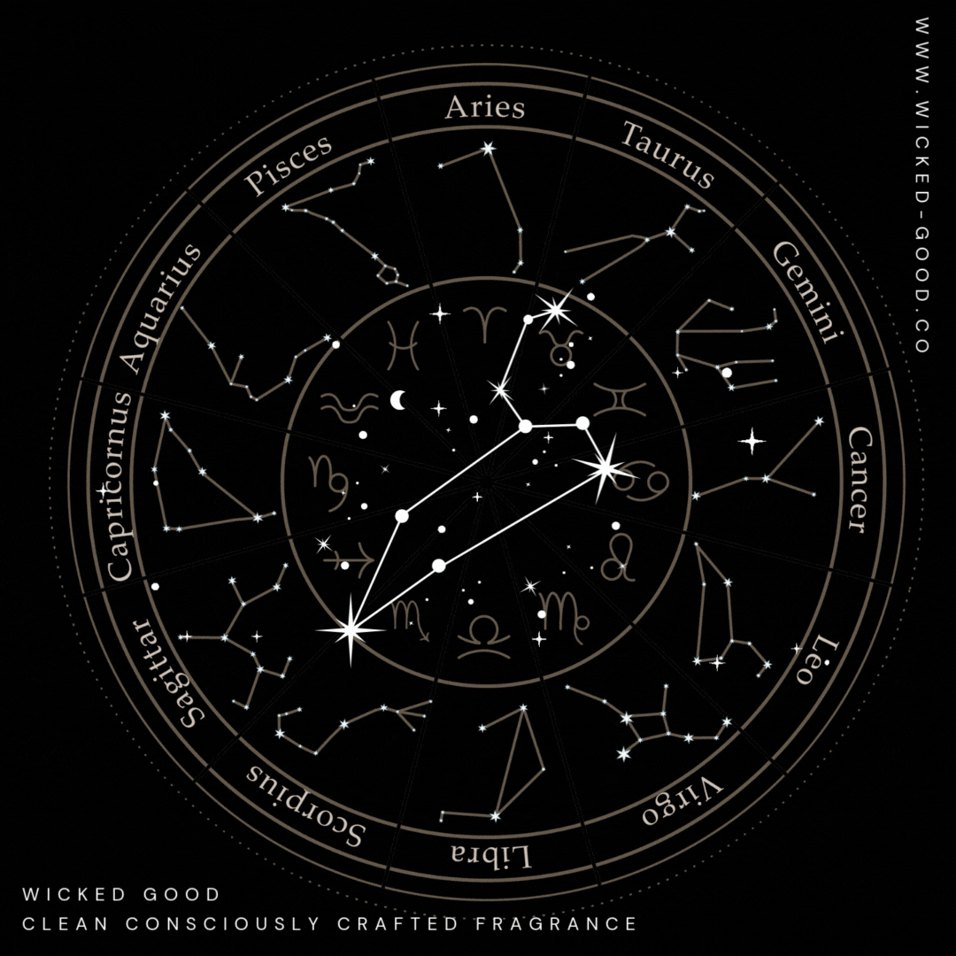 3 Best Fragrances for Leo | Wicked Good Perfume