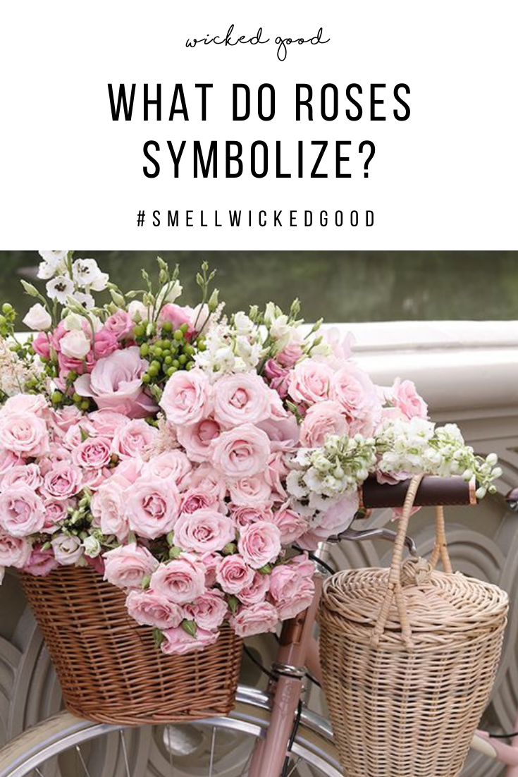 What Do Roses Symbolize? | Wicked Good