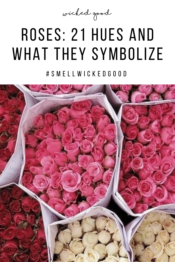 ROSES: 21 Hues and What They Symbolize | Wicked Good