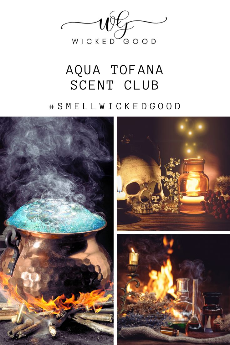 AQUA TOFANA Collection - October 2021 Scent Club | Clean Scents Delivered | Wicked Good