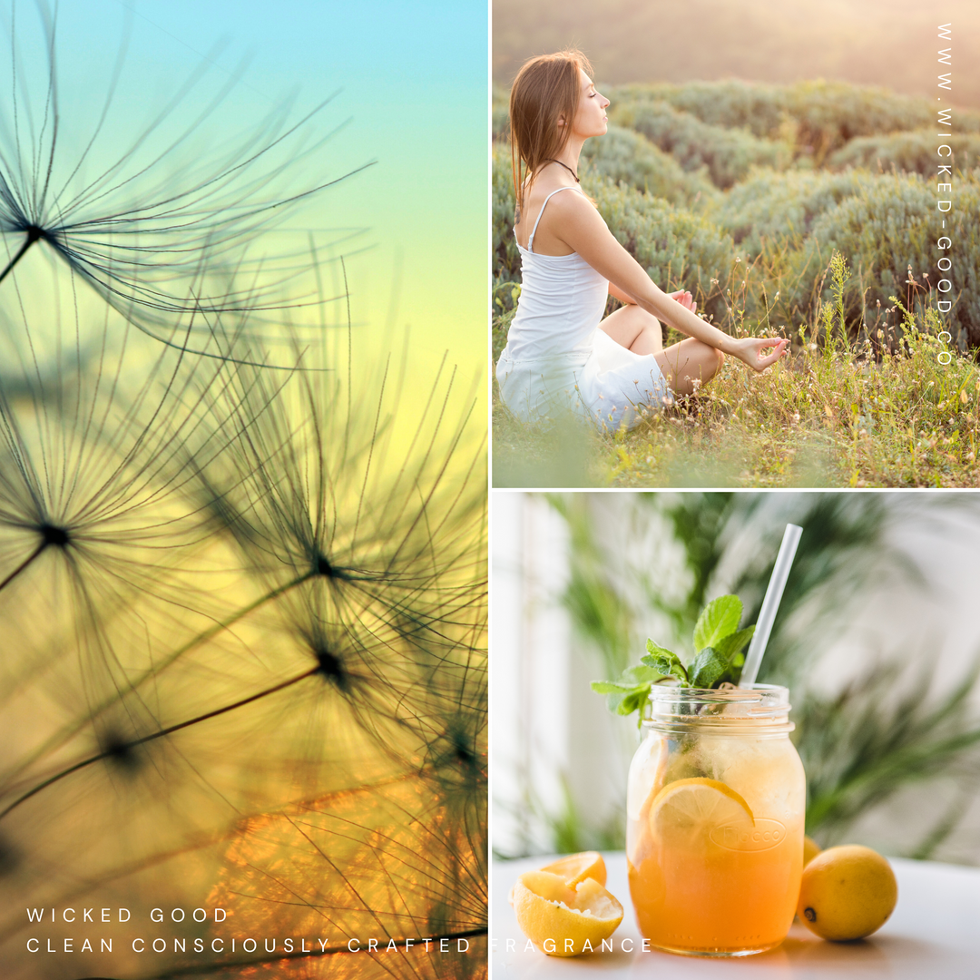 Perfume Gift For Mom | December Scent Club Box 2022 by Wicked Good {Clean Perfume}