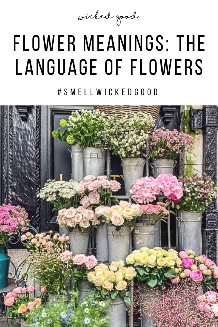 Flower Meanings: The Language of Flowers | Wicked Good
