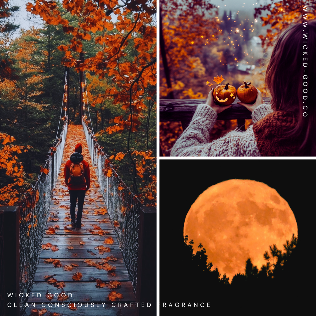 Harvest Moon Collection | November 2021 Scent Club | Wicked Good