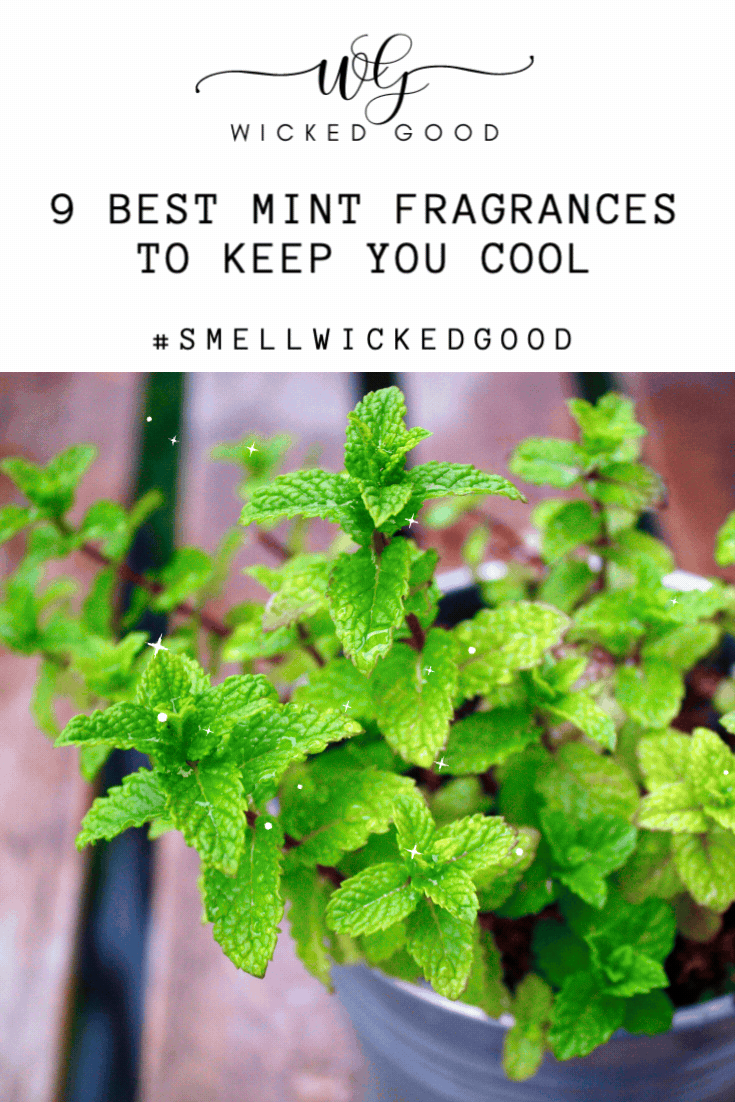 9 Best Mint Fragrances to Keep You Cool This Summer | WIcked Good