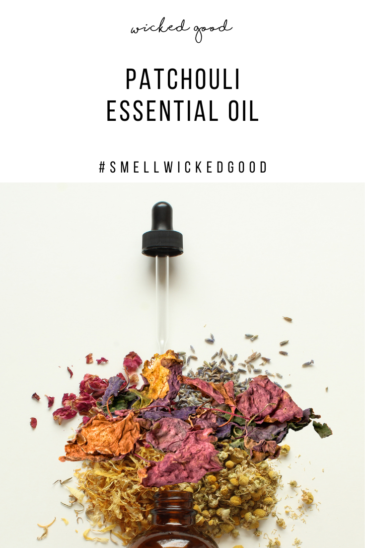 Patchouli Essential Oil: A Guide to Its Origins, Cultivation, and Benefits | Wicked Good