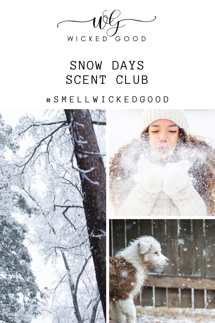 Snow Days Perfume Box | December 2021 Scent Club | Clean Scents Delivered | Wicked Good