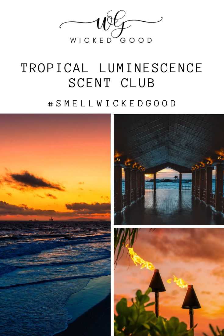 Tropical Luminescence | Scent Club by Wicked Good