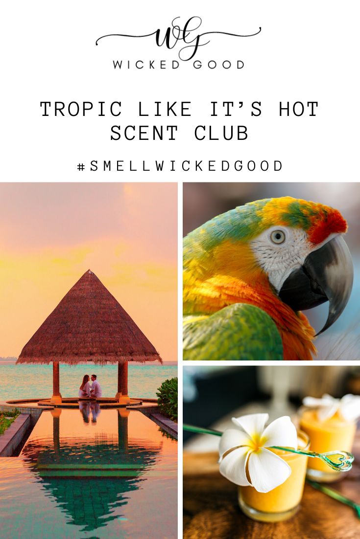 Scent Club | MAY 2021 | TROPIC LIKE IT'S HOT