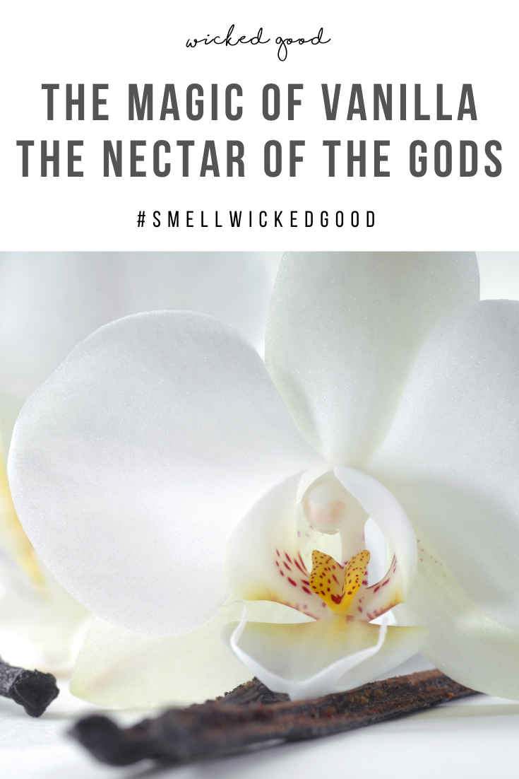 The Magic of Vanilla | Wicked Good Fragrance