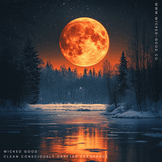 Snow Moon + Your Zodiac Sign