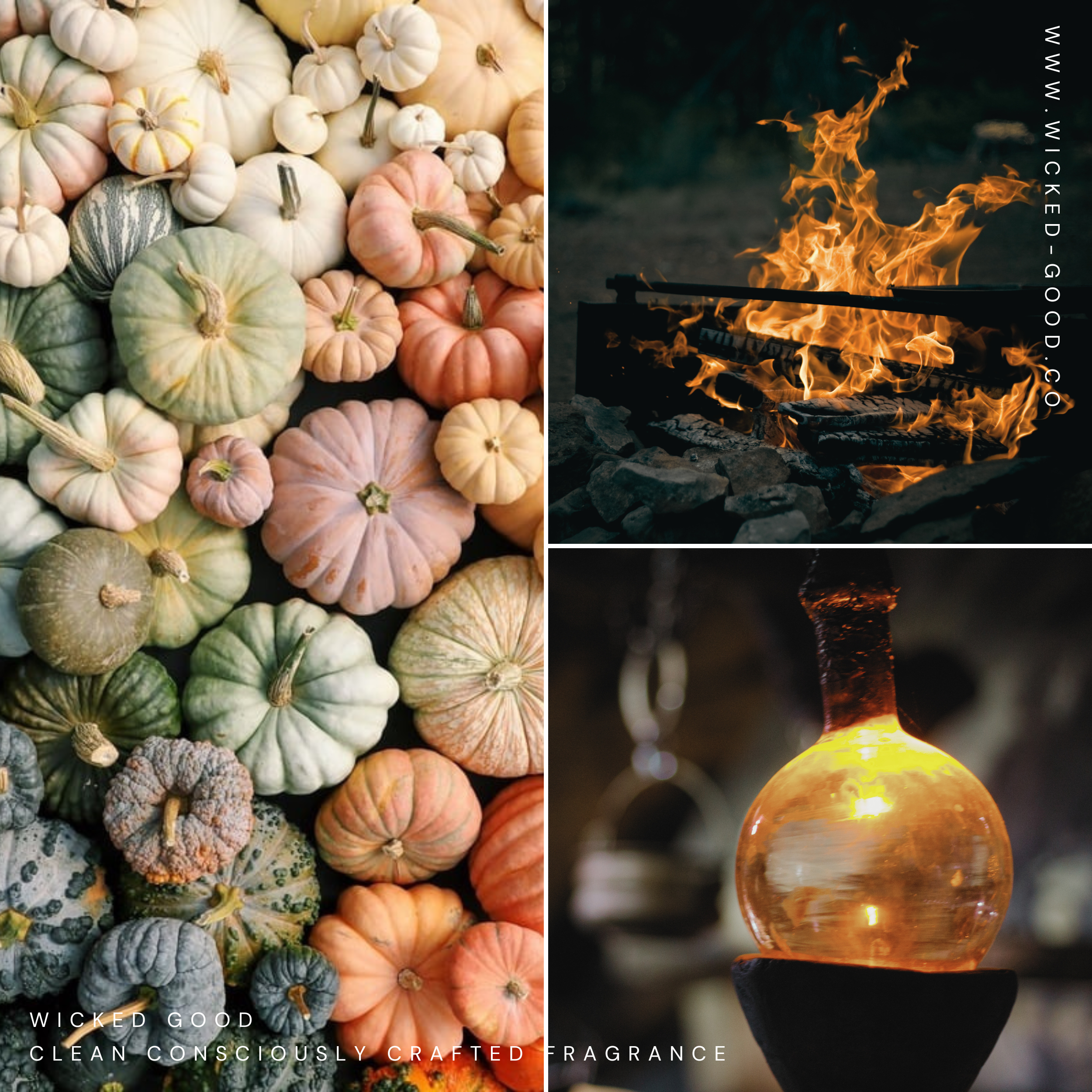 Autumnal Alchemy | Wicked Good Scent Club - November 2023