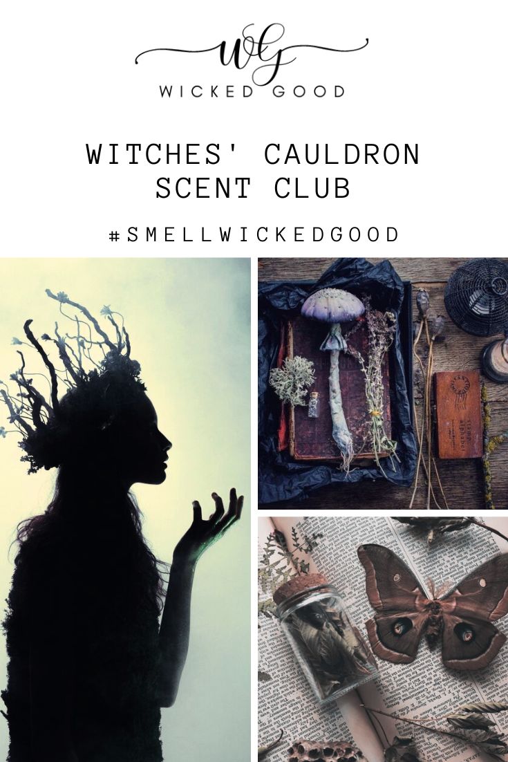 Witches' Cauldron - October 2020 | Wicked Good Scent Club