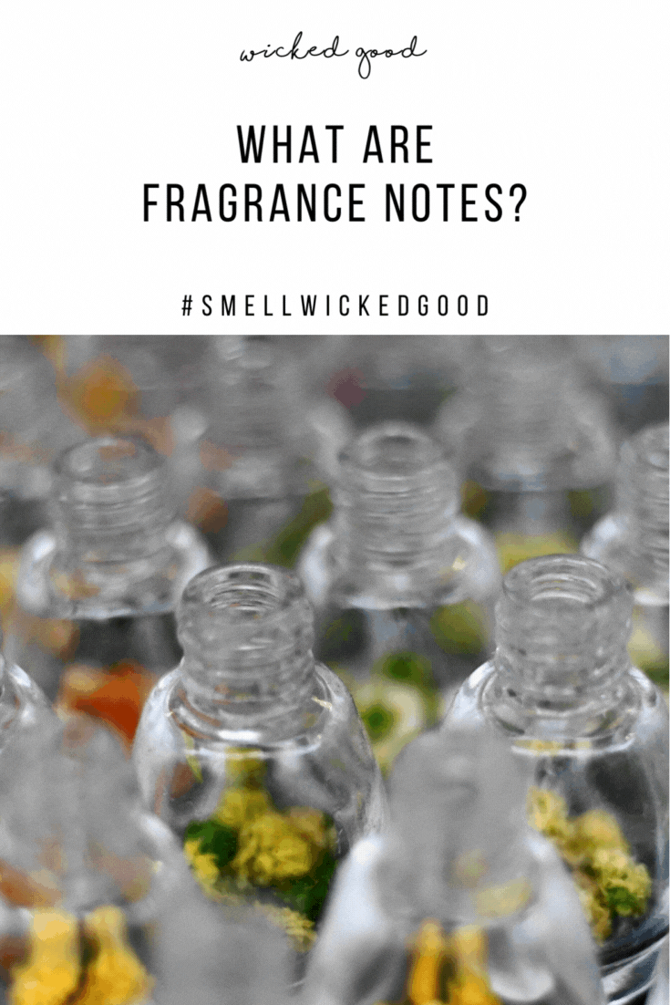 What Are Fragrance Notes? | Wicked Good