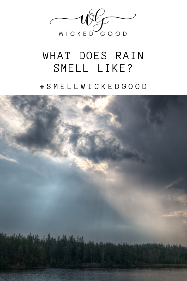 What Does Rain Smell Like? | WIcked Good Fragrance