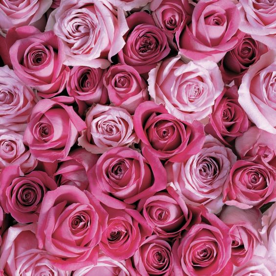 The 15 Most Sumptuous Rose Perfumes on the Market | Wicked Good