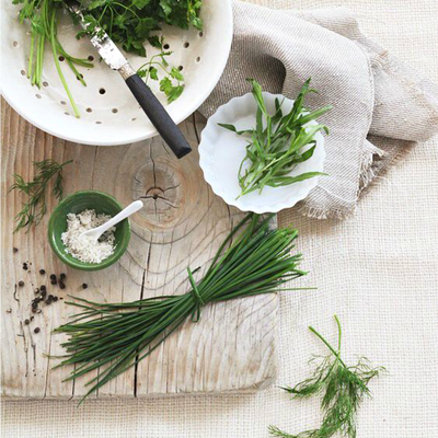 Top 23 Fresh Green Fragrances You Have To Try | Wicked Good