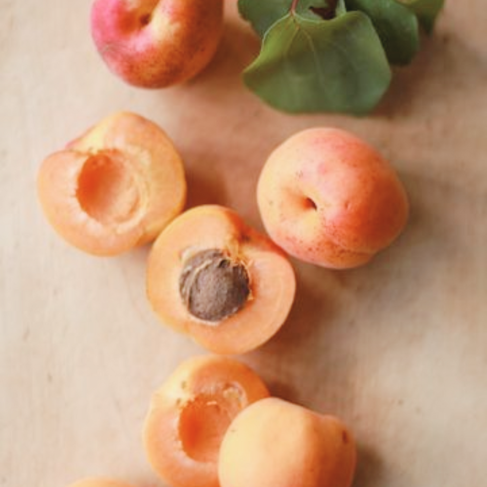 Apricot Privee Phlur Fragrance | Get A Sample #SmellWickedGood