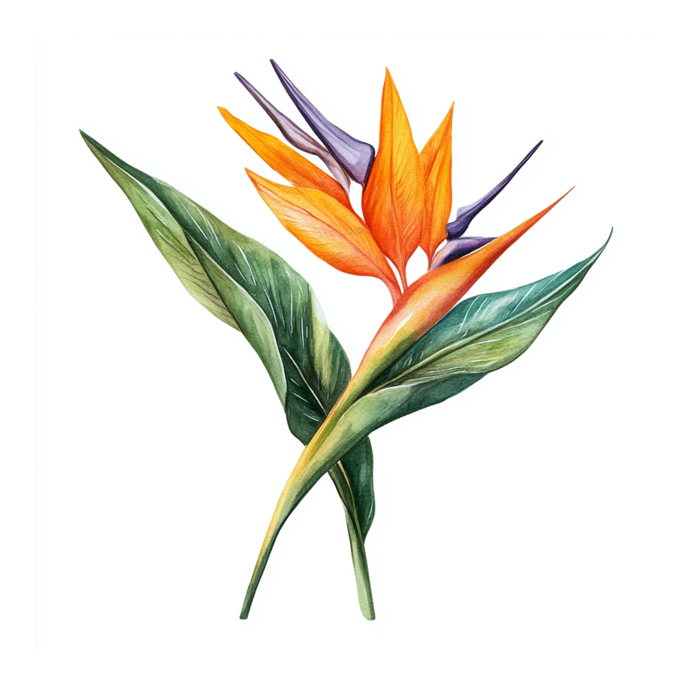 Bird of Paradise Single Note | DIY Perfumery + Perfume Bar | #SmellWickedGood