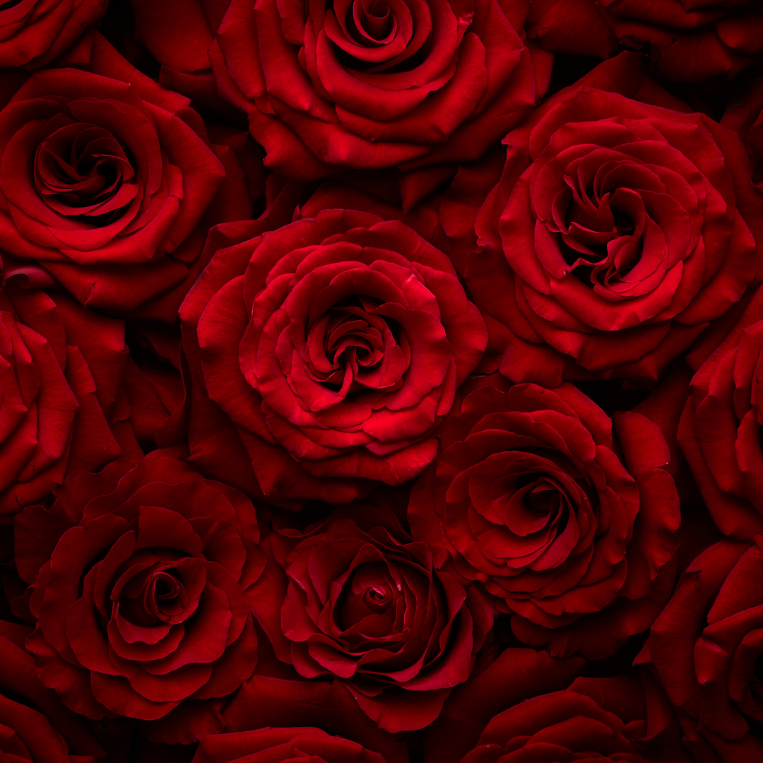 Rose Noir Perfume | Byredo Fragrance Dupe | Get A Sample #SmellWickedGood