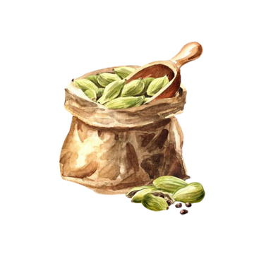 Cardamom Perfume Bar for Bridal Showers, Retreats, Boutiques, Events