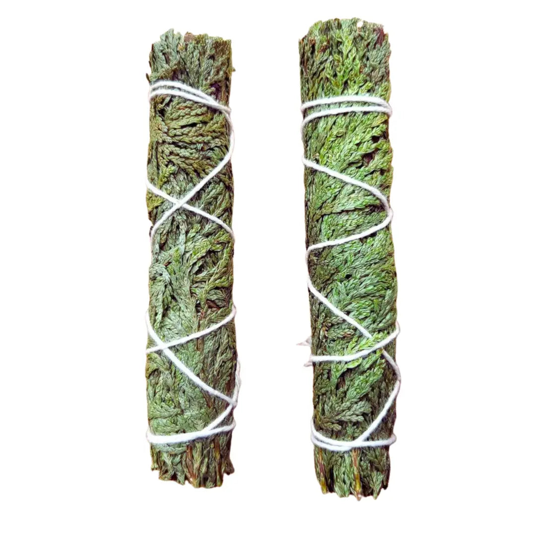 Cedar Forest Smudge Stick |Clear Energy, Invite Stability & Calm