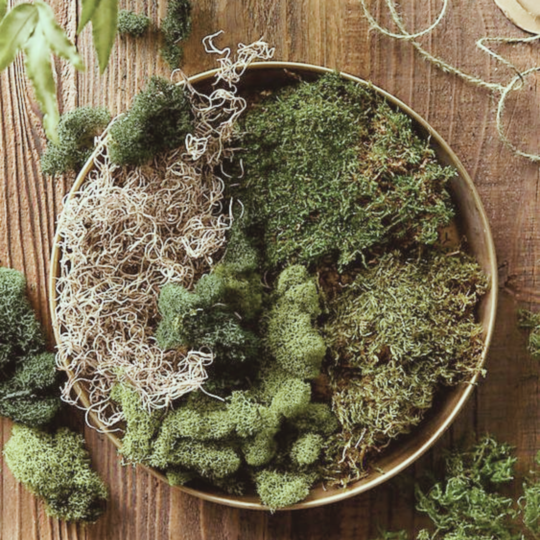 Moss by Commodity | Fragrance - Perfume - Scent | Get A Sample #SmellWickedGood