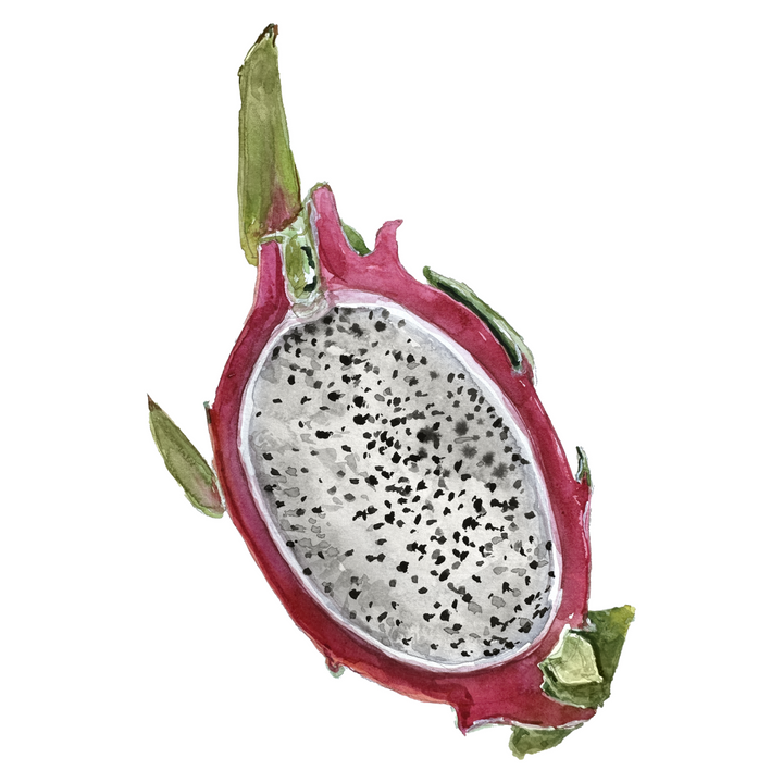 Dragonfruit Perfume Bar for Bridal Showers, Retreats, Boutiques, Events