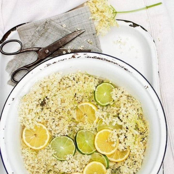  Elderflower Cordial  Inspired by Jo Malone | Get A Sample Today