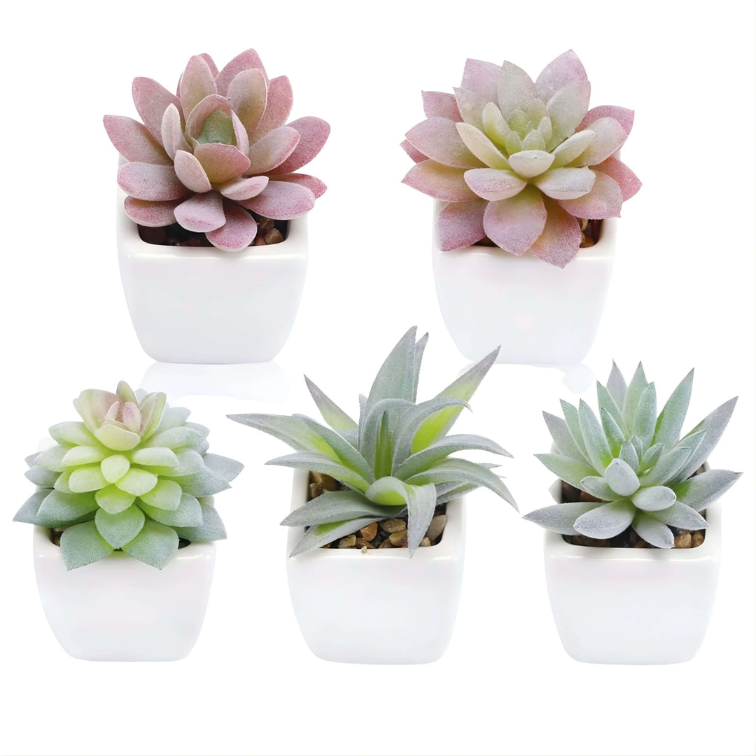 Faux Mini Succulent | Wicked Good Gift Box
