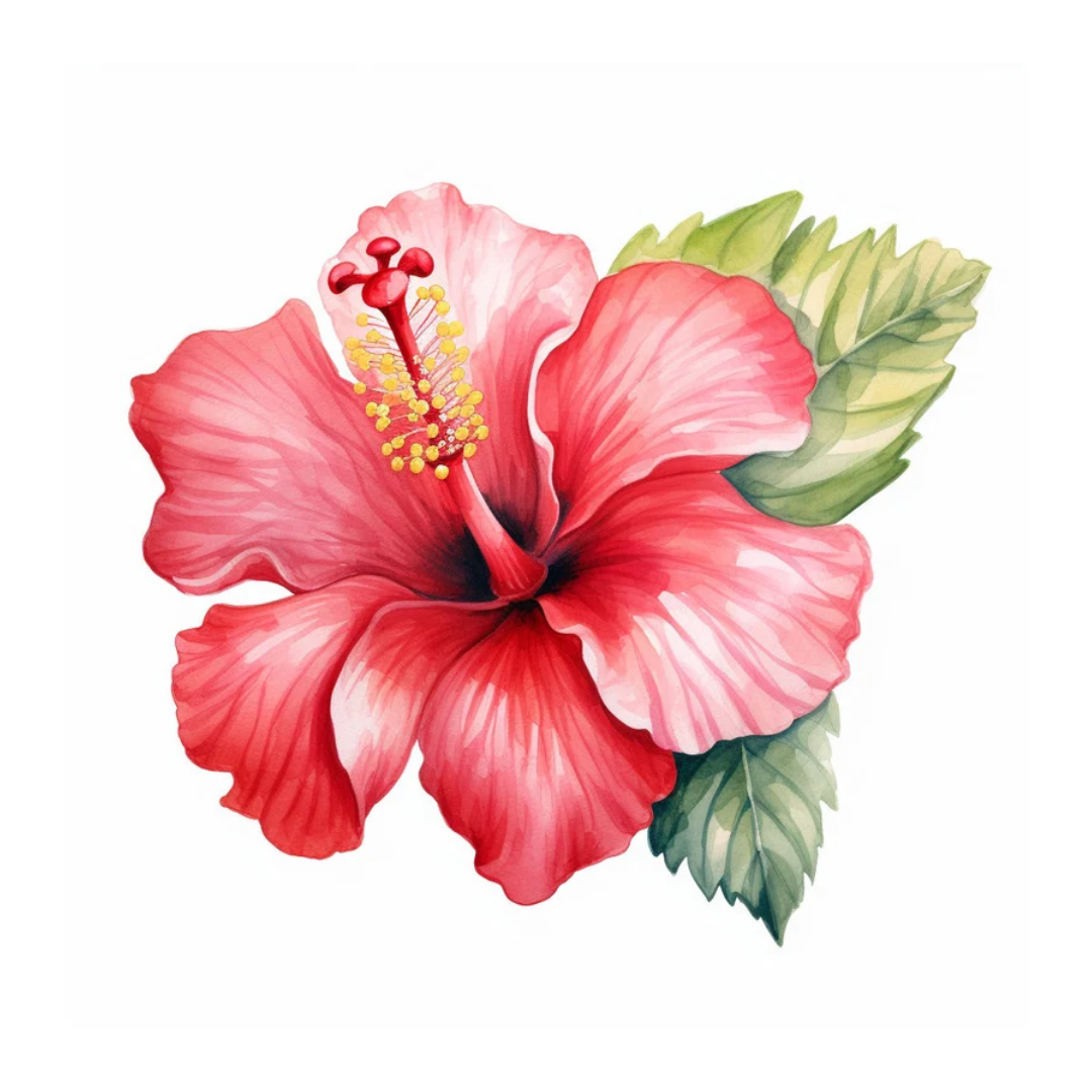 Hibiscus Perfume Bar for Bridal Showers, Retreats, Boutiques, Events 