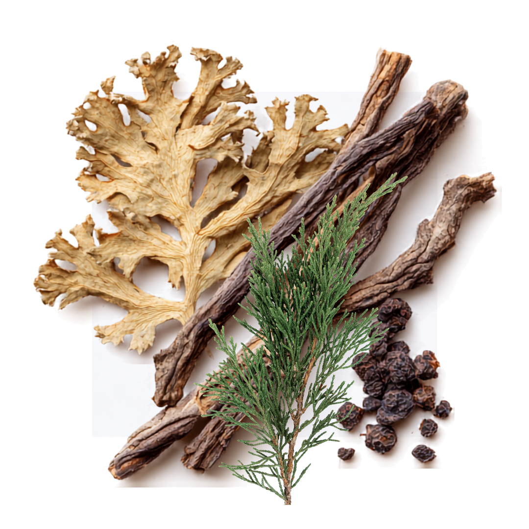 Hwyl inspired fragrance