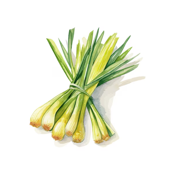 Lemongrass Single Note Fragrance for Perfume Bar for Bridal Showers, Wedding, Retreats, Boutiques, Events 