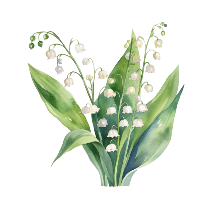 Lily of the Valley Single Note Fragrance for Perfume Bar for Bridal Showers, Wedding, Retreats, Boutiques, Events 