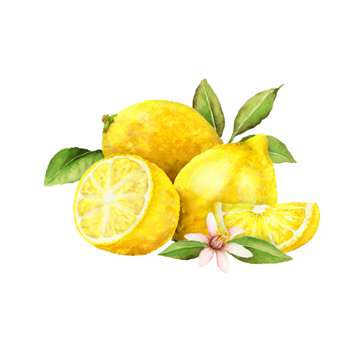 Lemon Single Note Fragrance for Perfume Bar for Bridal Showers, Wedding, Retreats, Boutiques, Events 