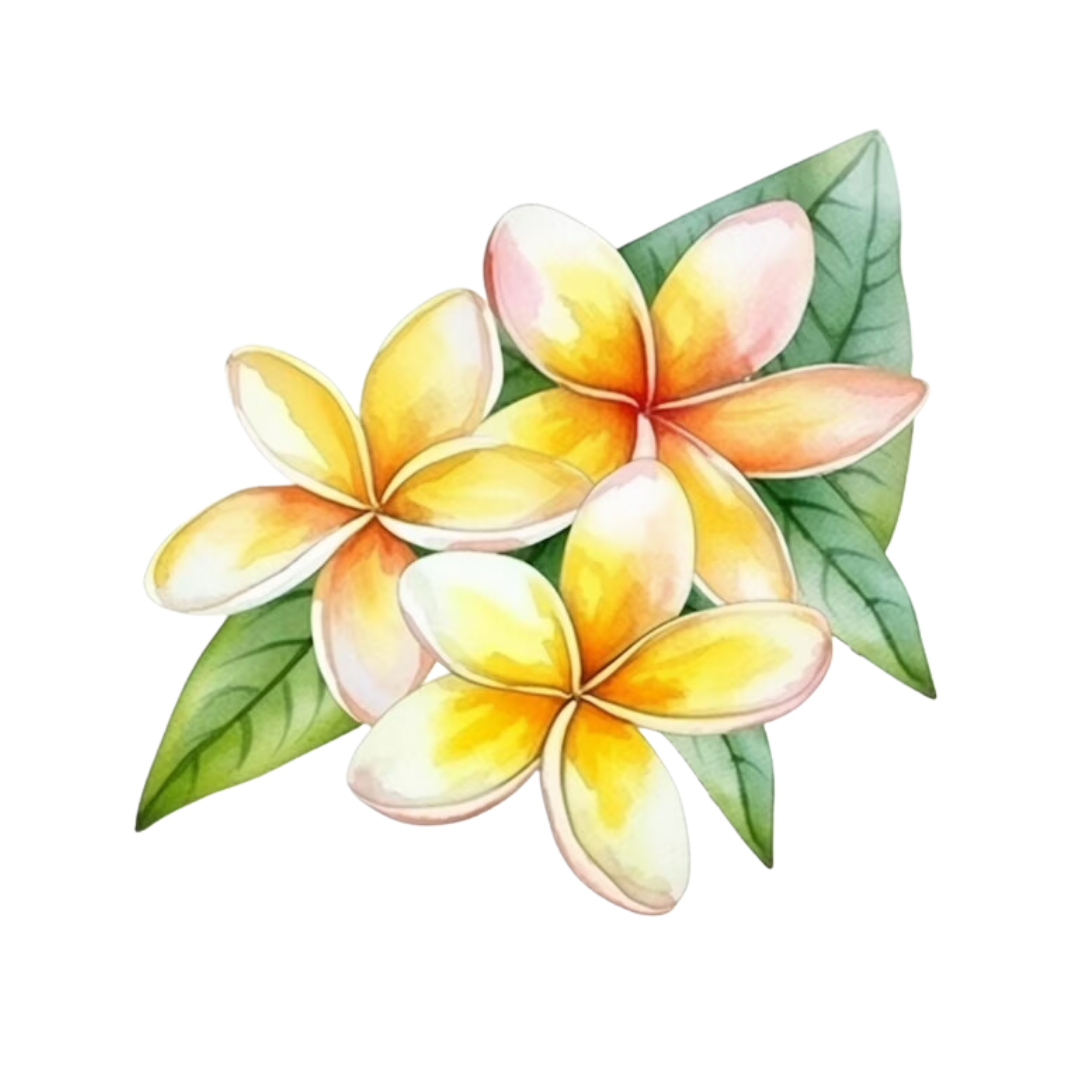 Plumeria Single Note Fragrance for Perfume Bar for Bridal Showers, Wedding, Retreats, Boutiques, Events