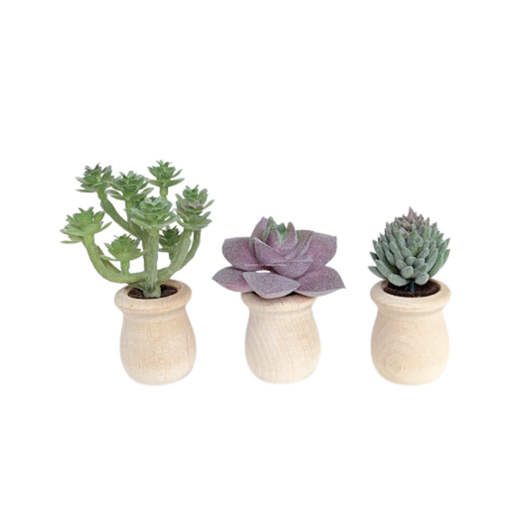 car succulent pots Succulent Car Diffuser Freshy