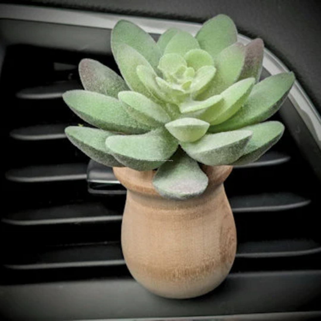succulents in car Succulent Car Diffuser Freshy