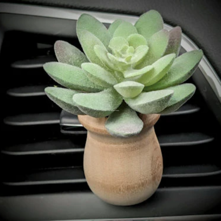 Mini Succulent Plant Car Vent Diffuser