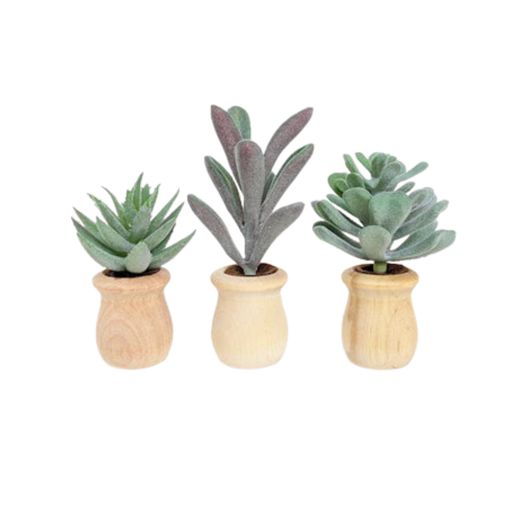 car succulent Succulent Car Diffuser Freshy