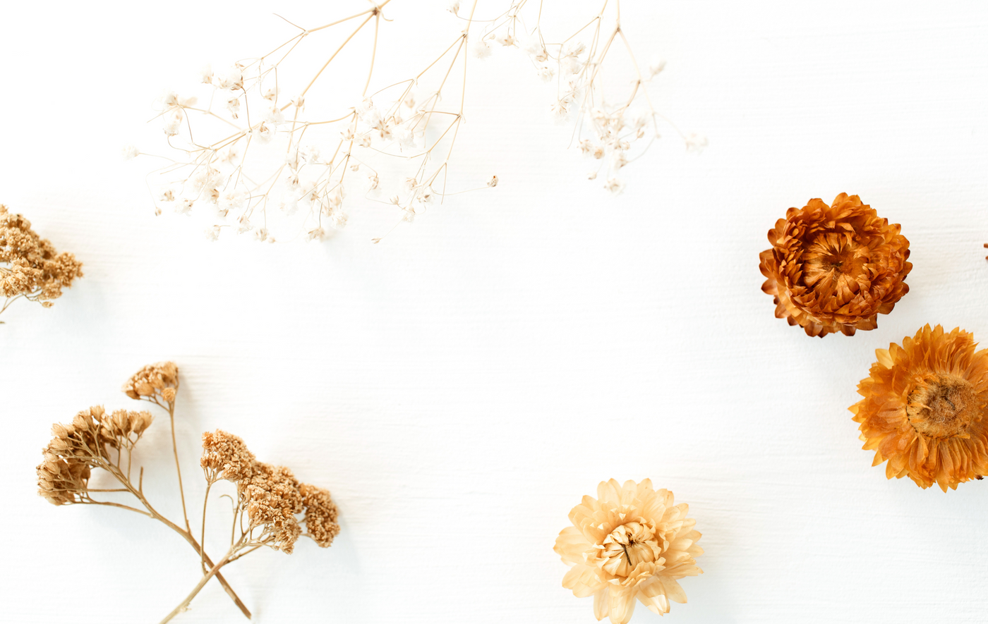 What is best selling clean perfume?