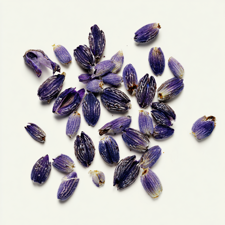 best lavender perfume relaxing eucalyptus soft musk scent