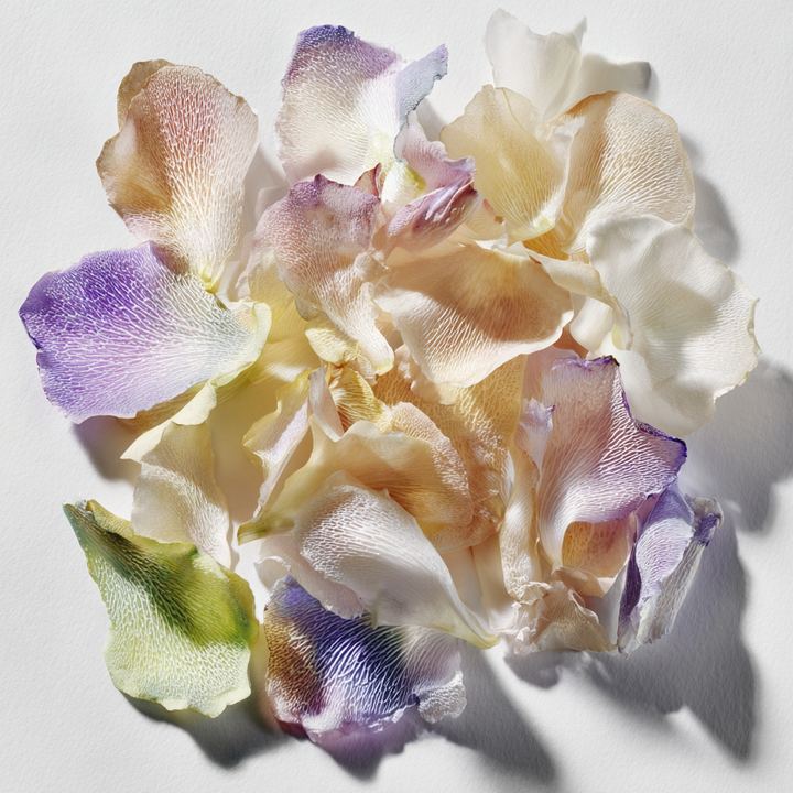 bridal bouquet perfume